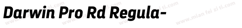 Darwin Pro Rd Regula字体转换